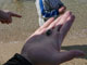 157