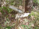 082