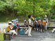 037
