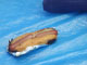 095