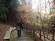 058