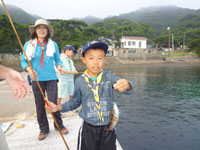 2010-07-31-1