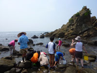 2010-07-31-2