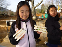 2011-03-20-1