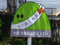 2011-05-08-3