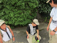 2011-07-24-3