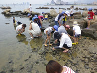 2012-06-24-3