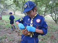 2012-10-07-2