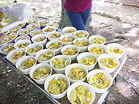 2013-07-07-2bv