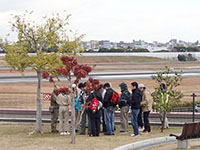 2013-12-08-1bs