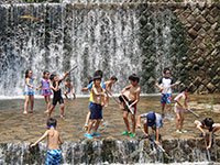2014-07-20-2bv