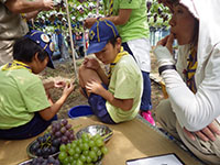 2014-09-07-2