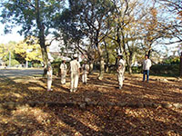 2014-11-30-1bs