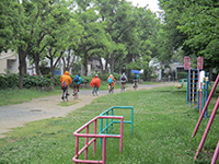 2018-05-13-2bs