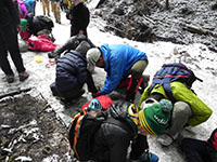 2019-01-27-3bs