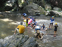 2019-07-14-5bs